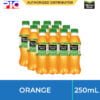 Minute Maid Fresh - Orange 250mL